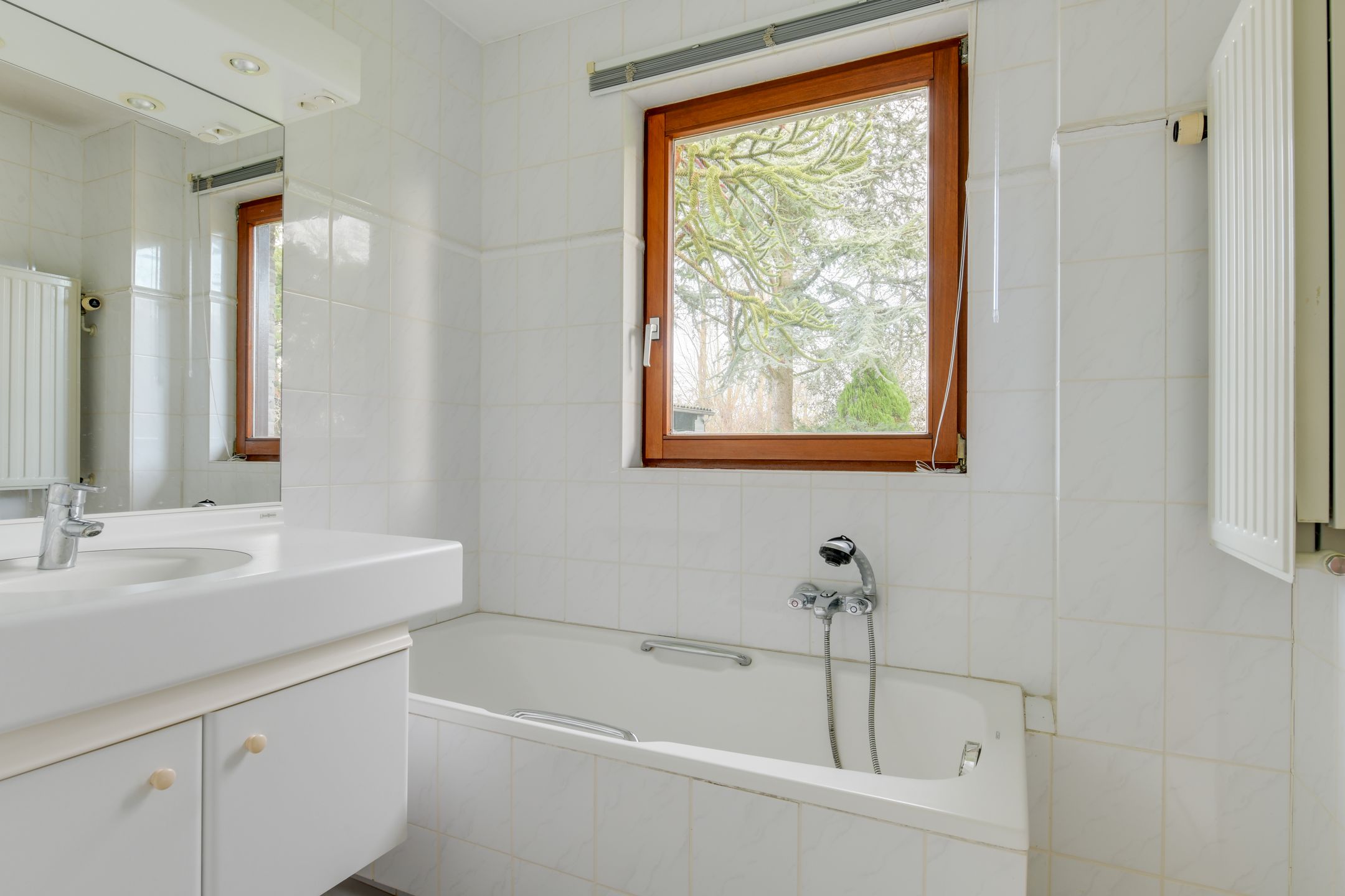 Foto 21 van Leeuwetand 19