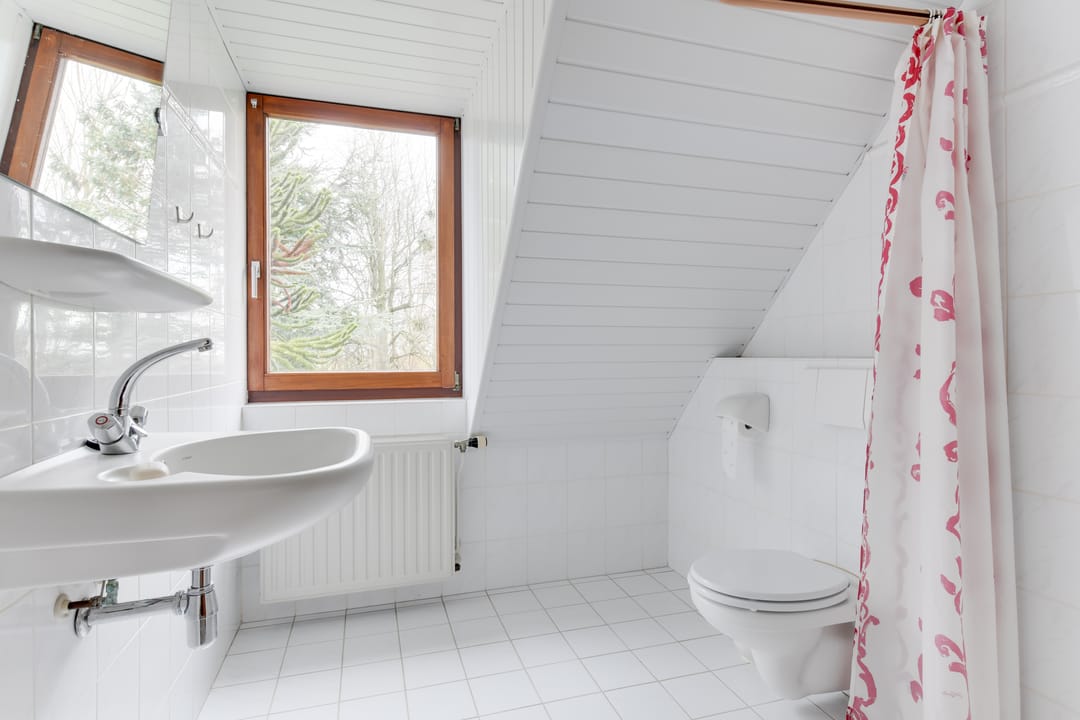 Foto 32 van Leeuwetand 19