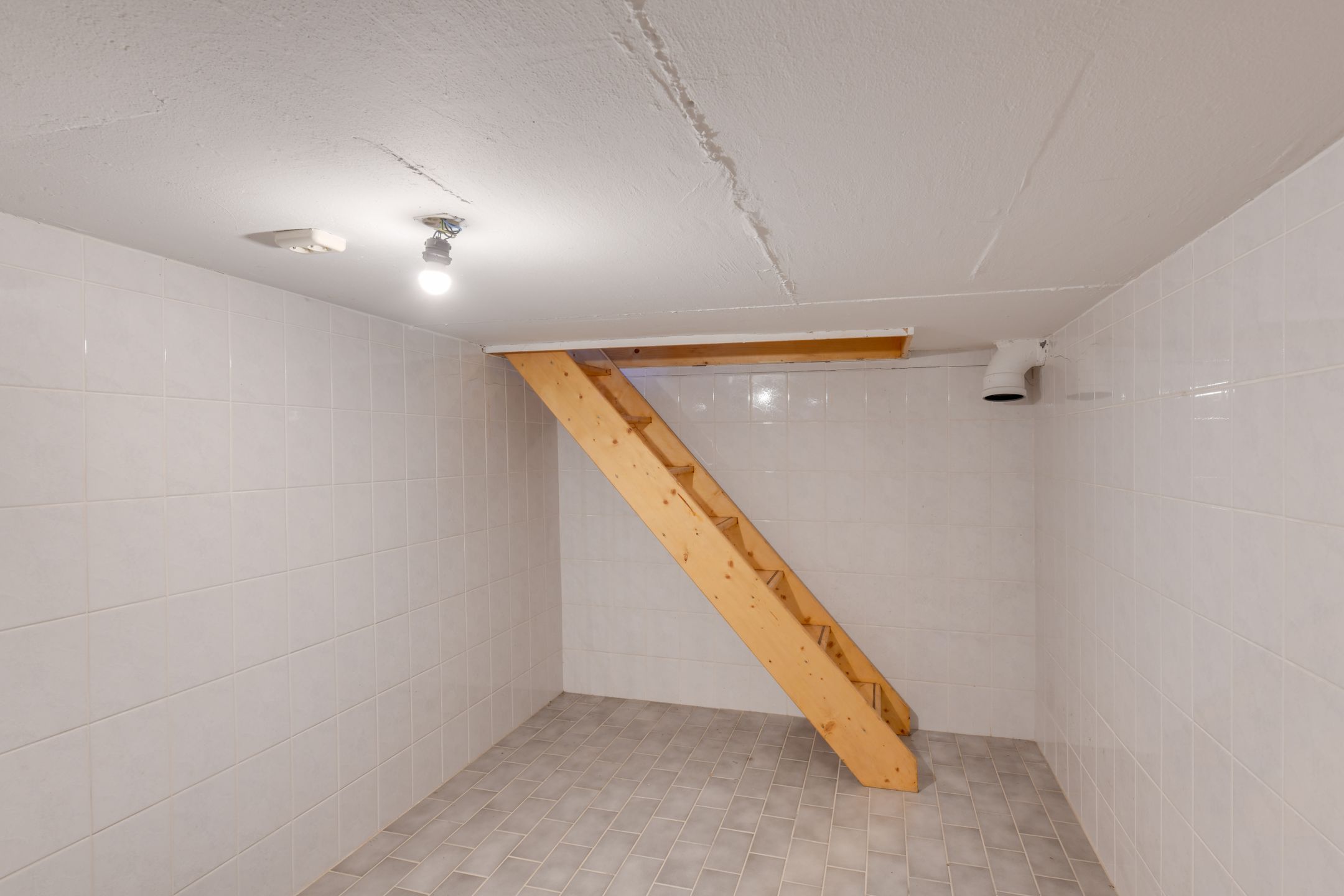 Foto 39 van Leeuwetand 19