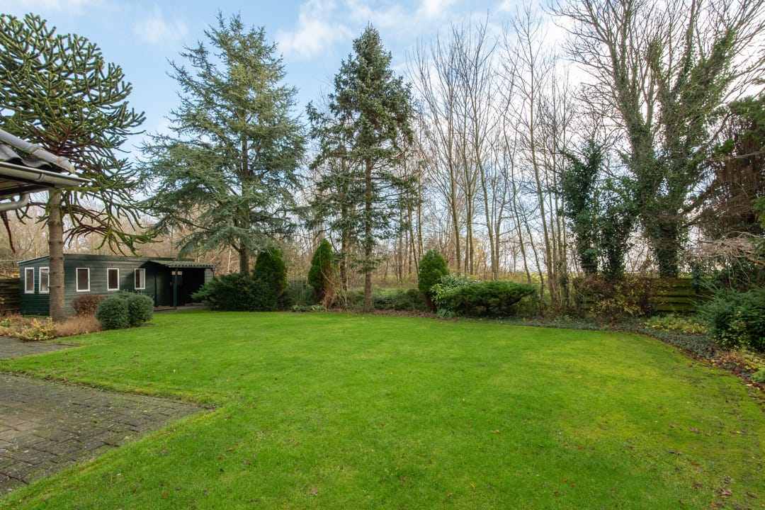 Foto 47 van Leeuwetand 19