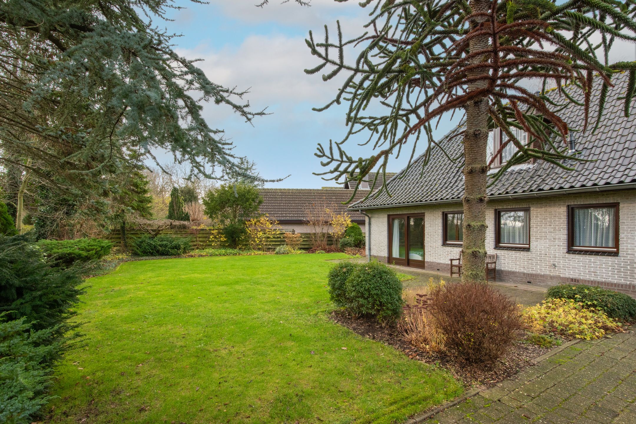 Foto 51 van Leeuwetand 19