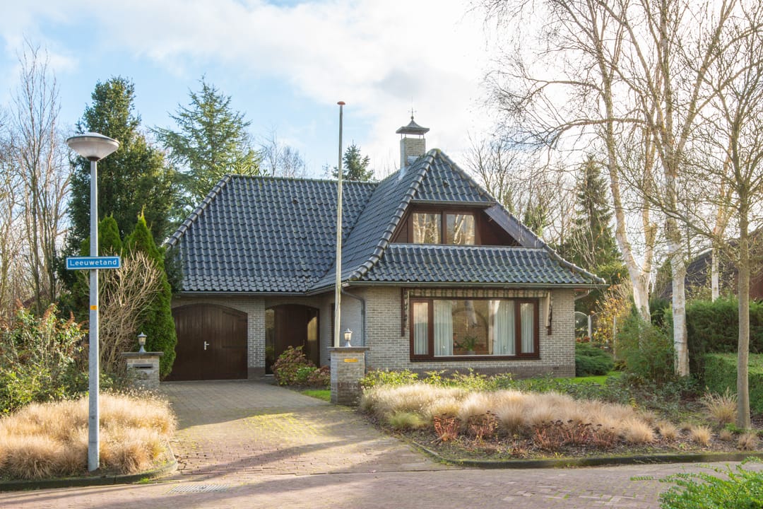 Foto 52 van Leeuwetand 19