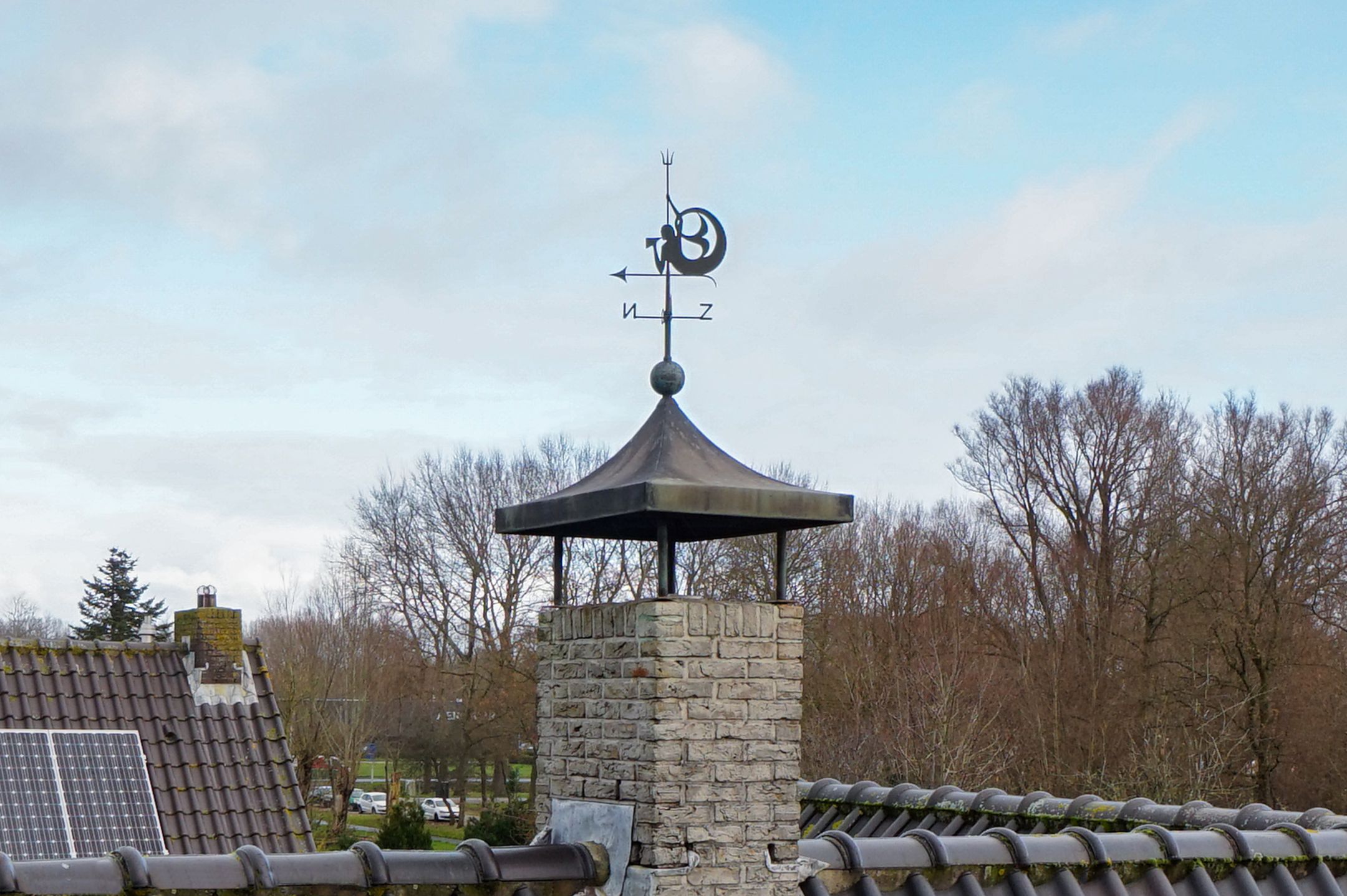 Foto 54 van Leeuwetand 19