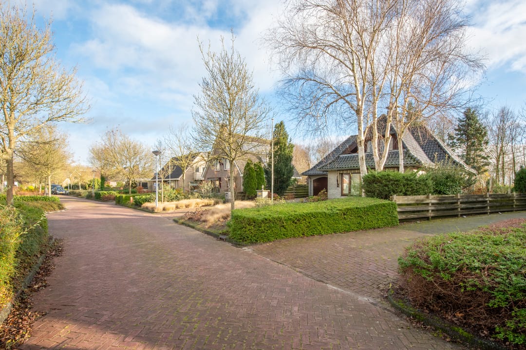 Foto 56 van Leeuwetand 19