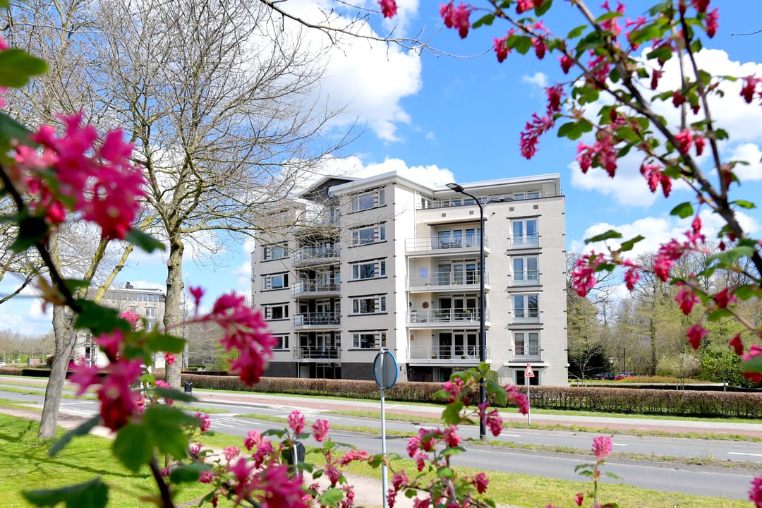 Photo 2 of Vlinderparkweg 68