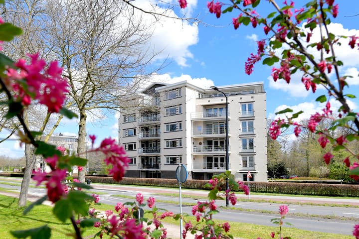 Foto 2 van Vlinderparkweg 68