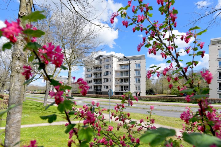 Foto 40 van Vlinderparkweg 68