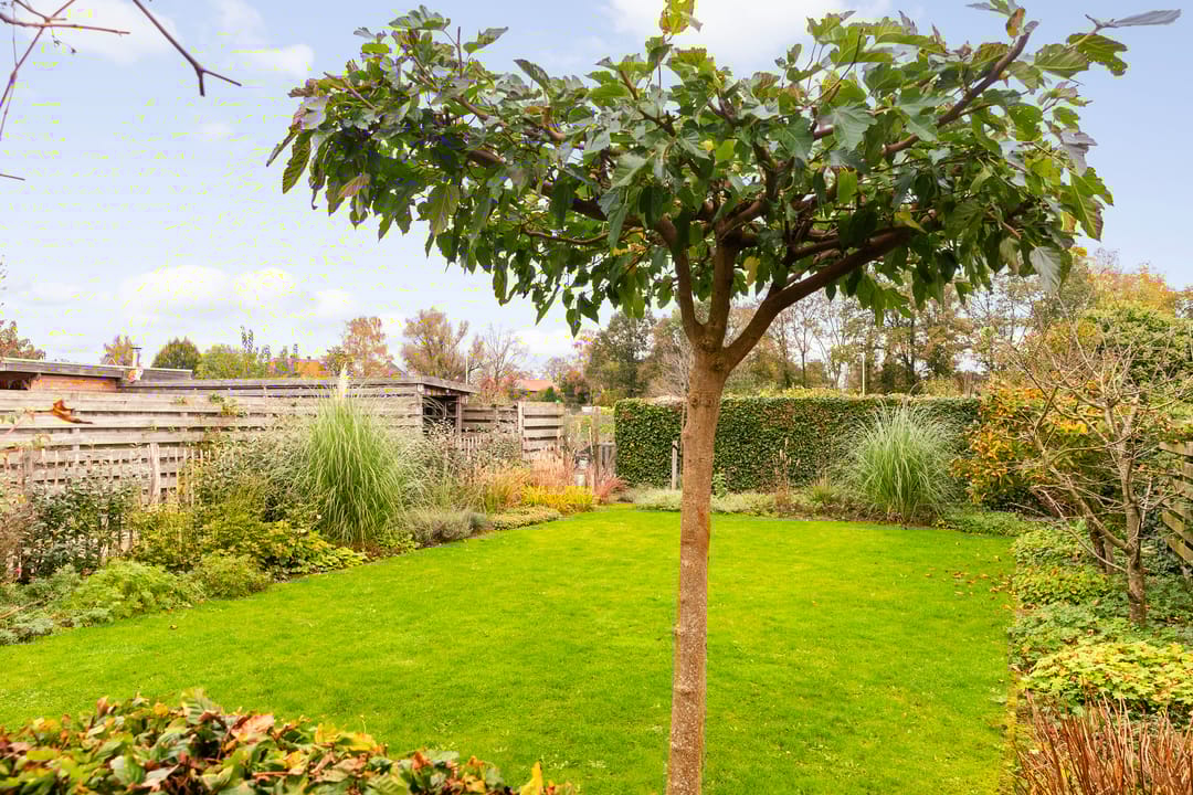 Foto 23 van Frans Halsweg 15