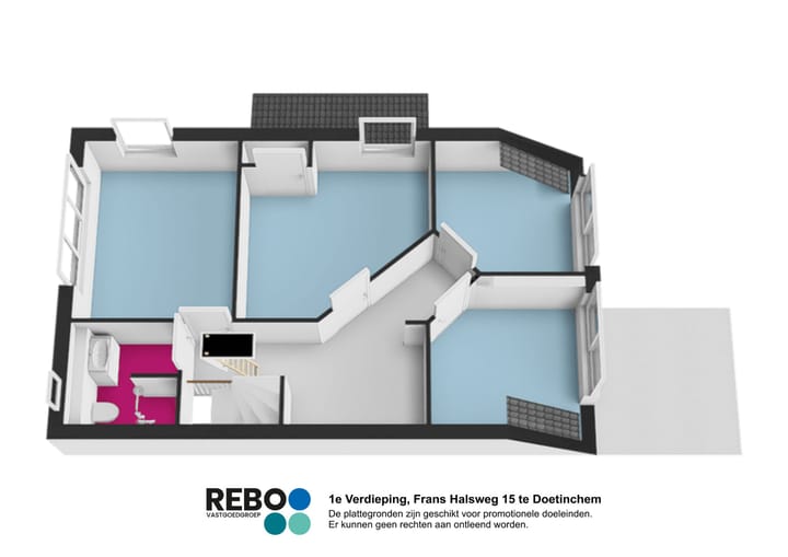 Foto 42 van Frans Halsweg 15