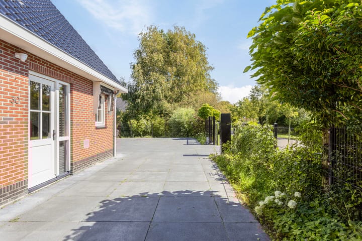 Foto 44 van Winterkoning 30