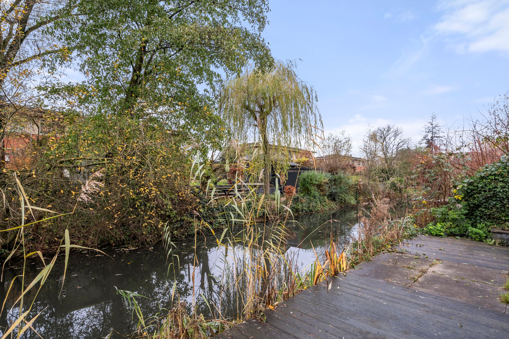 Foto 18 van Cerise 46