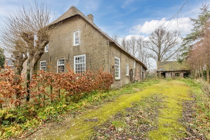 Foto 54 van Lage Ham 132