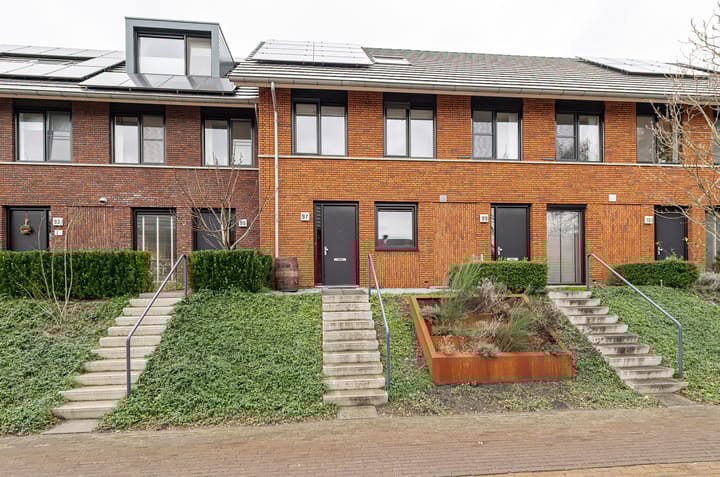 Foto 1 van Zanglijster 97