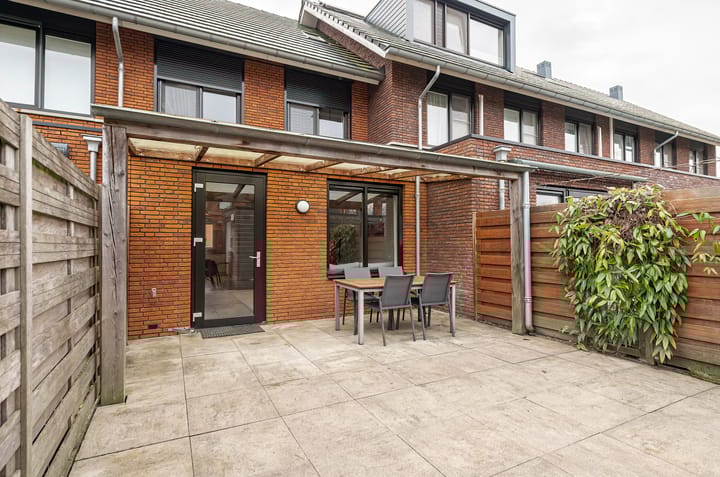 Foto 4 van Zanglijster 97