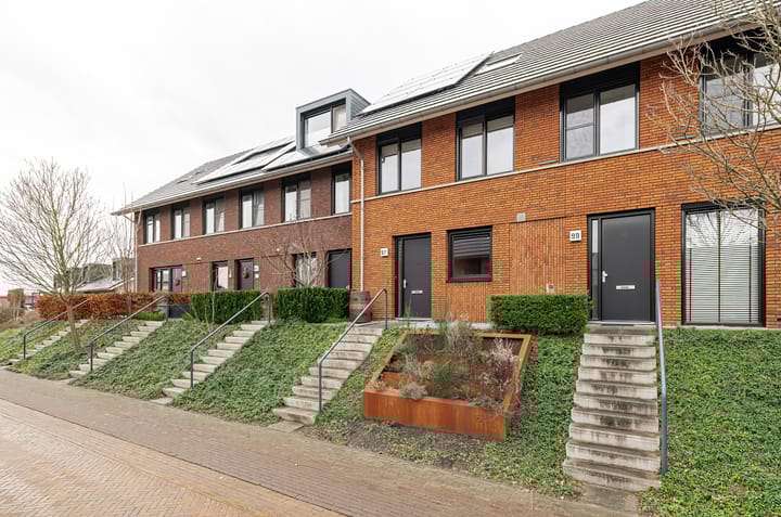 Foto 5 van Zanglijster 97