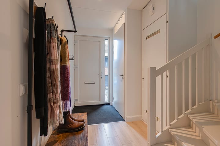 Foto 6 van Zanglijster 97