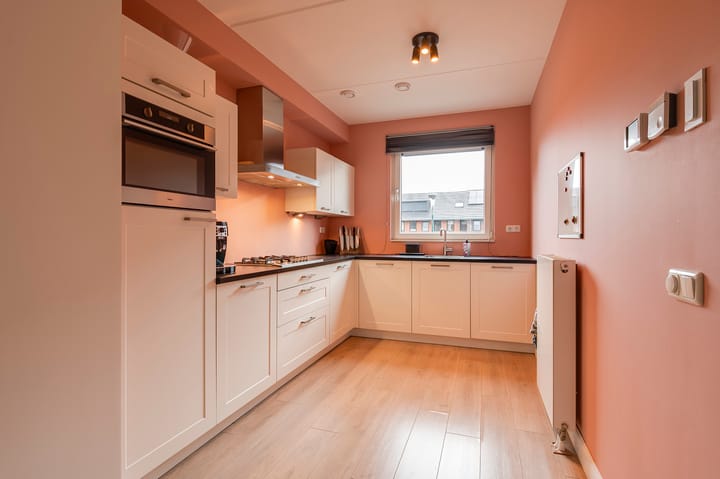 Foto 7 van Zanglijster 97