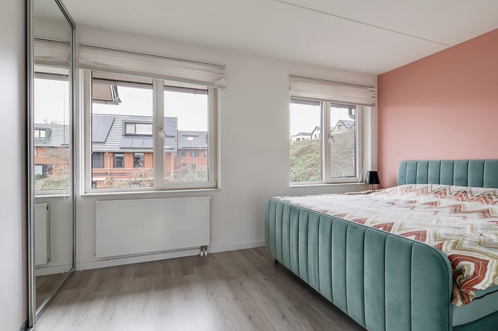 Foto 11 van Zanglijster 97