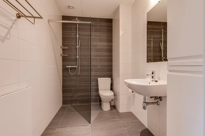 Foto 14 van Zanglijster 97