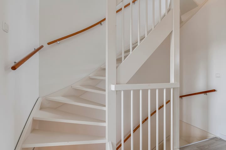 Foto 16 van Zanglijster 97