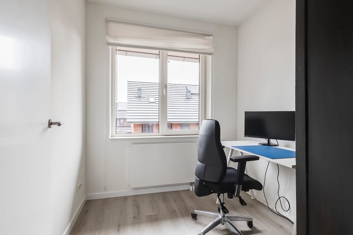 Foto 17 van Zanglijster 97