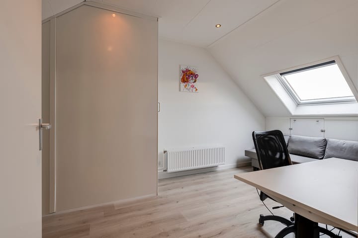 Foto 18 van Zanglijster 97