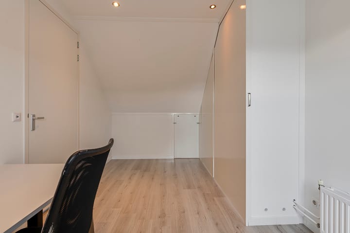 Foto 20 van Zanglijster 97