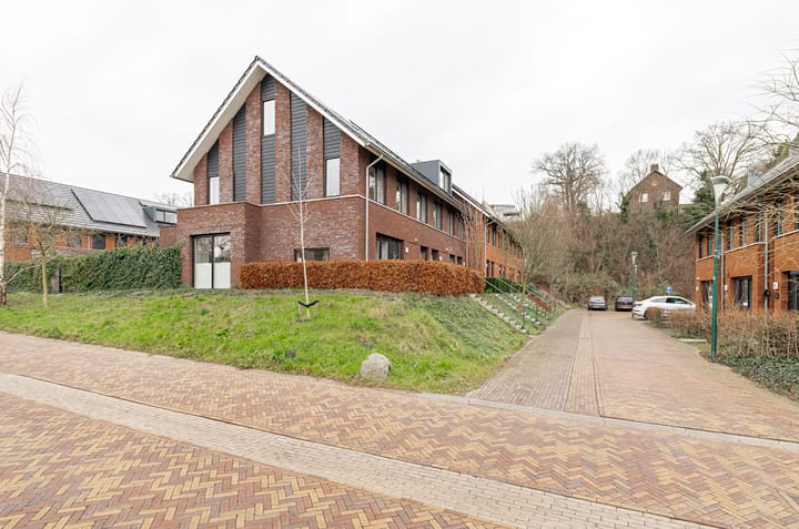 Foto 25 van Zanglijster 97