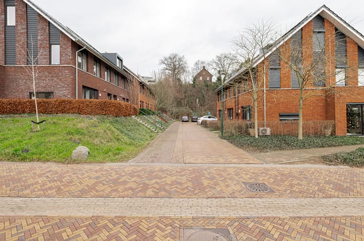 Foto 26 van Zanglijster 97