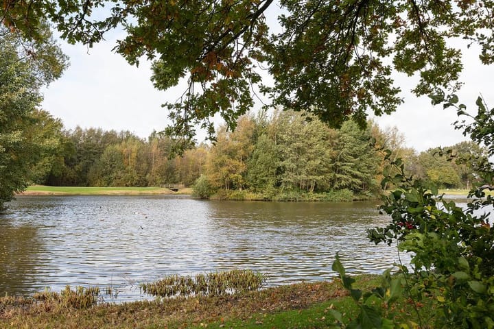 Foto 6 van Berkenbos 9