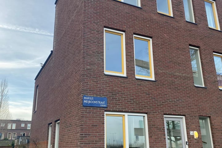 Bekijk foto 1 van Marius Meijboomstraat 56