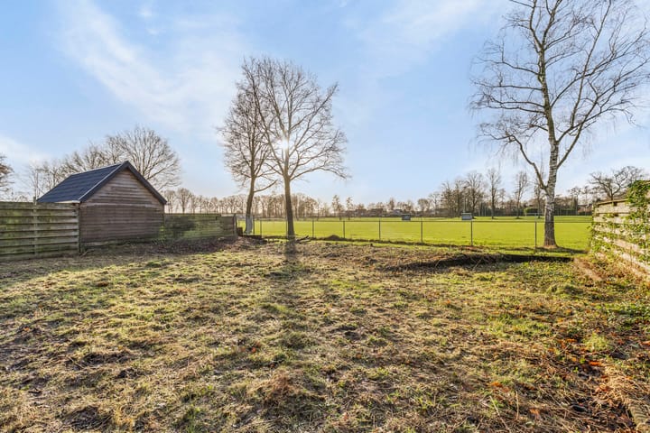 Foto 31 van Russchenreed 40