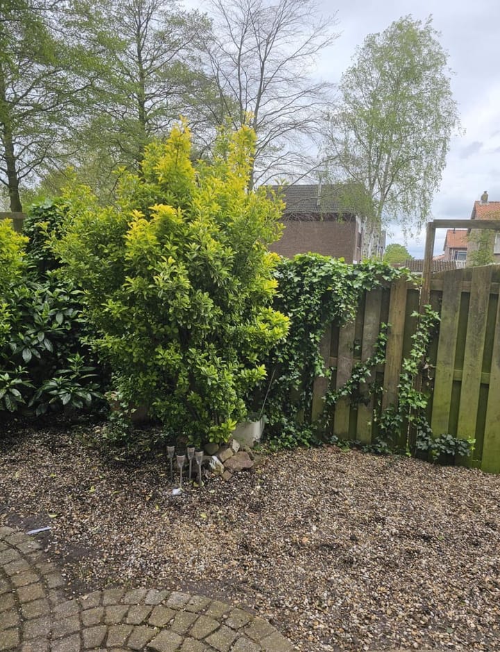 Foto 17 van Wilgensingel 15