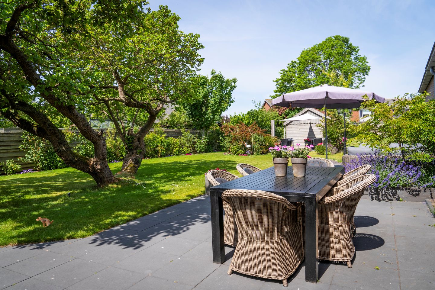 Foto 70 van Kikkertstraat 17