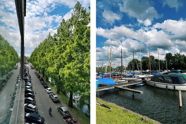 Bekijk foto 3 van Streksingel 183