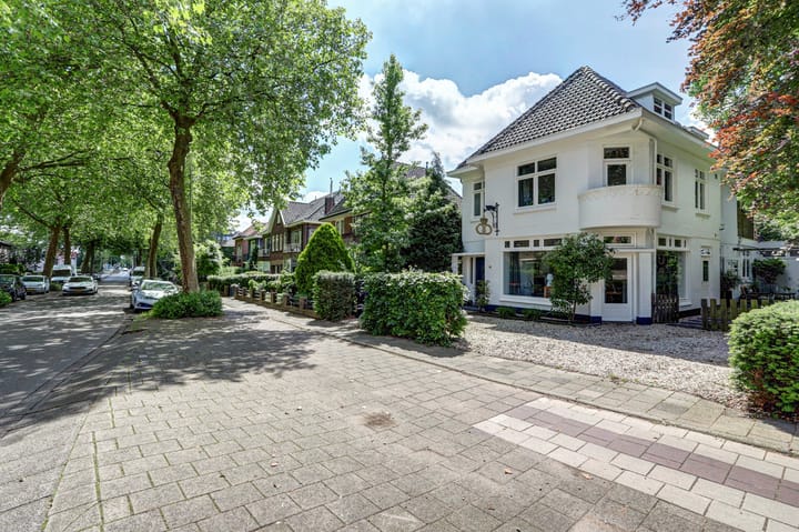 Photo 79 of Nieuwe Hoven 69