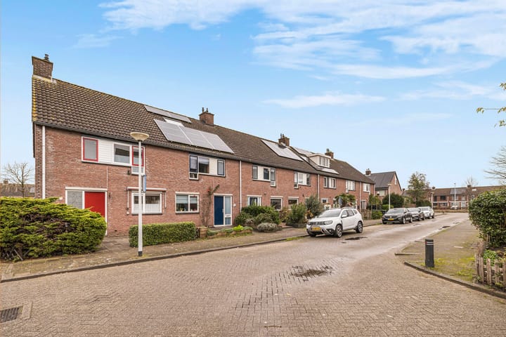 Foto 7 van Pauwoog 4