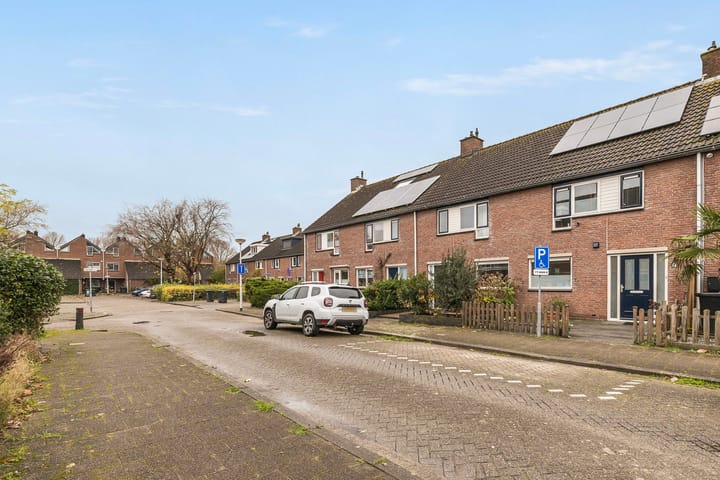 Foto 8 van Pauwoog 4