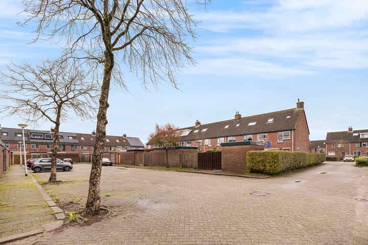 Foto 23 van Pauwoog 4