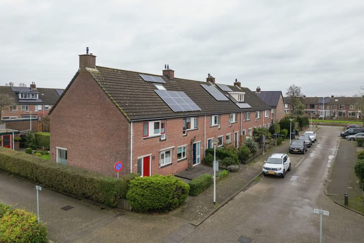 Foto 38 van Pauwoog 4