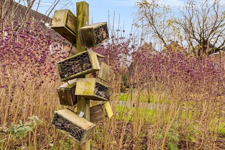 Foto 39 van Pauwoog 4