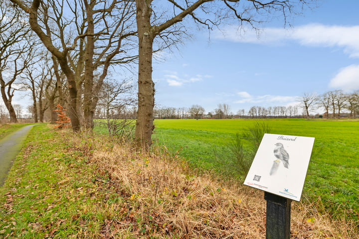 Bekijk foto 9 van Reindersdijk Kavel 3