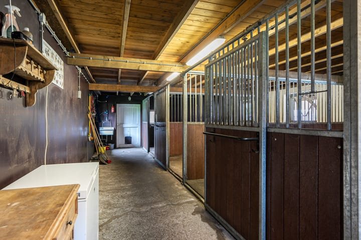 Foto 11 van De Biskop 6