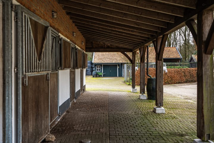 Foto 12 van De Biskop 6