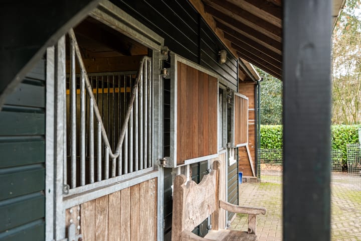 Foto 21 van De Biskop 6