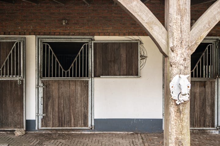 Foto 22 van De Biskop 6