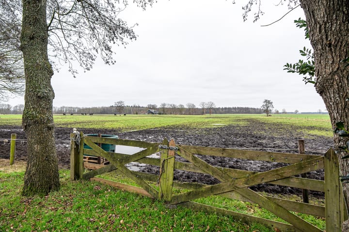 Foto 58 van De Biskop 6