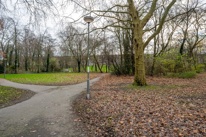 Bekijk foto 20 van Burgemeester Stulemeijerlaan 74