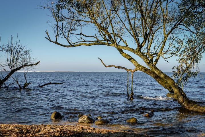 Bekijk foto 31 van Kleine Wiel 14