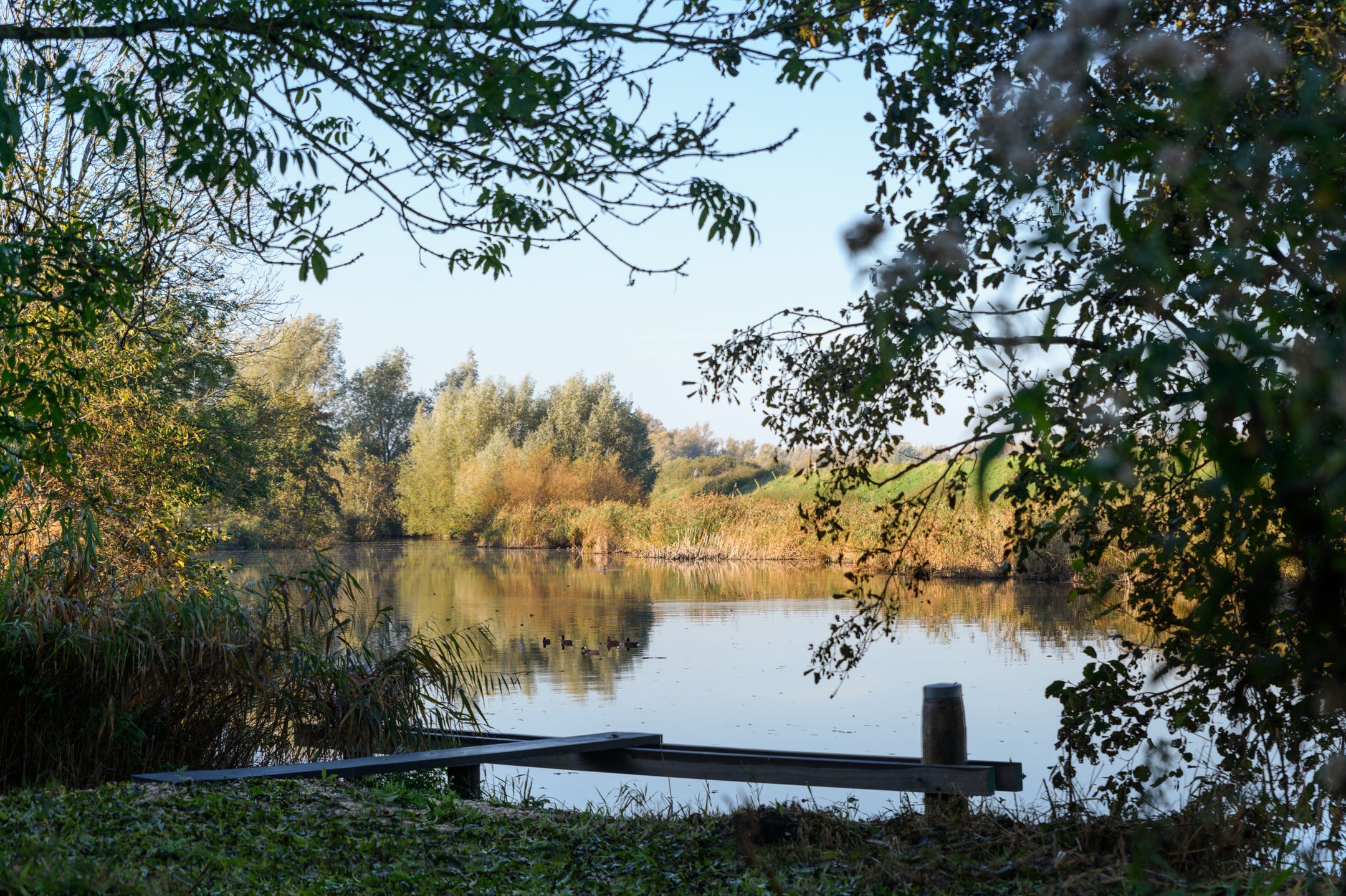 Foto 33 van Kleine Wiel 14